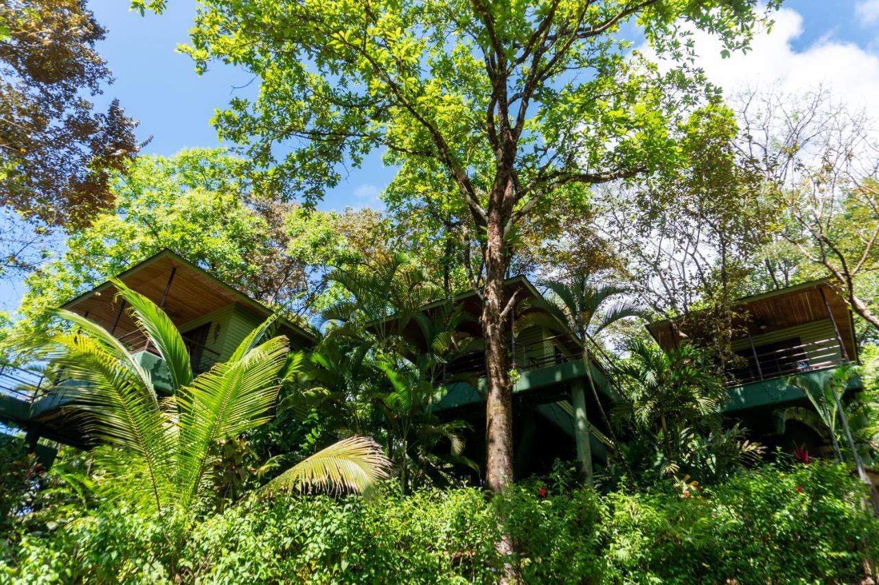 Arbol Verde Villas Ojochal Kültér fotó
